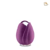 Tulip™ Purple - Afbeelding 7