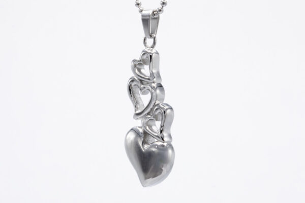 RVS Multiple hearts - Afbeelding 3